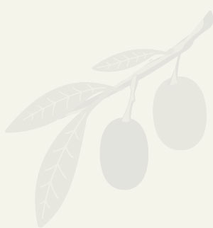 Oliven und Feinkosten Bramers